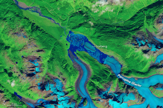 The iceberg, which measures 0.7 square miles (1.2 sq km), as seen on August 27, 2016. (Image: NASA Earth Observatory images by Jesse Allen, using Landsat data from the U.S. Geological Survey)
